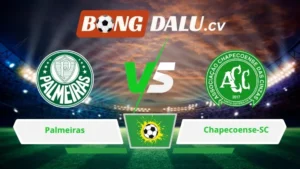 Soi kèo bóng đá Palmeiras vs Chapecoense-SC 02h00 ngày 01/06/2026 – VĐQG Brazil