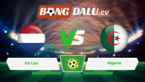 Soi kèo bóng đá Hà Lan vs Algeria 01h45 ngày 04/06/2026 – Giao Hữu Quốc Tế